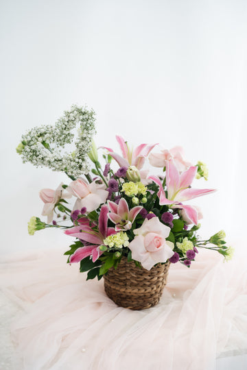 Baby's Breath
